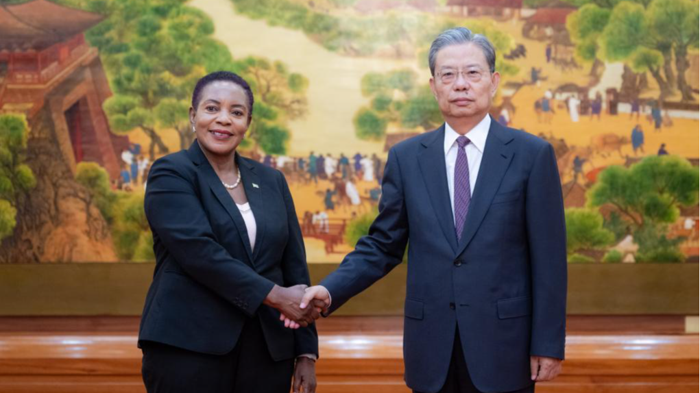 Majelis Nasional Zambia siap untuk memperkuat komunikasi dan kerja sama dengan NPC Tiongkok pada kesempatan multilateral