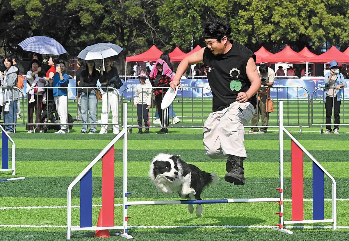 Dengan meningkatnya jumlah hewan peliharaan di Tiongkok