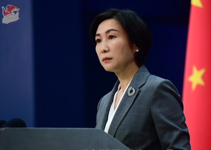 Kontrol kekerasan senjata dapat menjadi tolok ukur penting bagi masyarakat internasional untuk mengukur demokrasi dan hak asasi manusia di Amerika Serikat