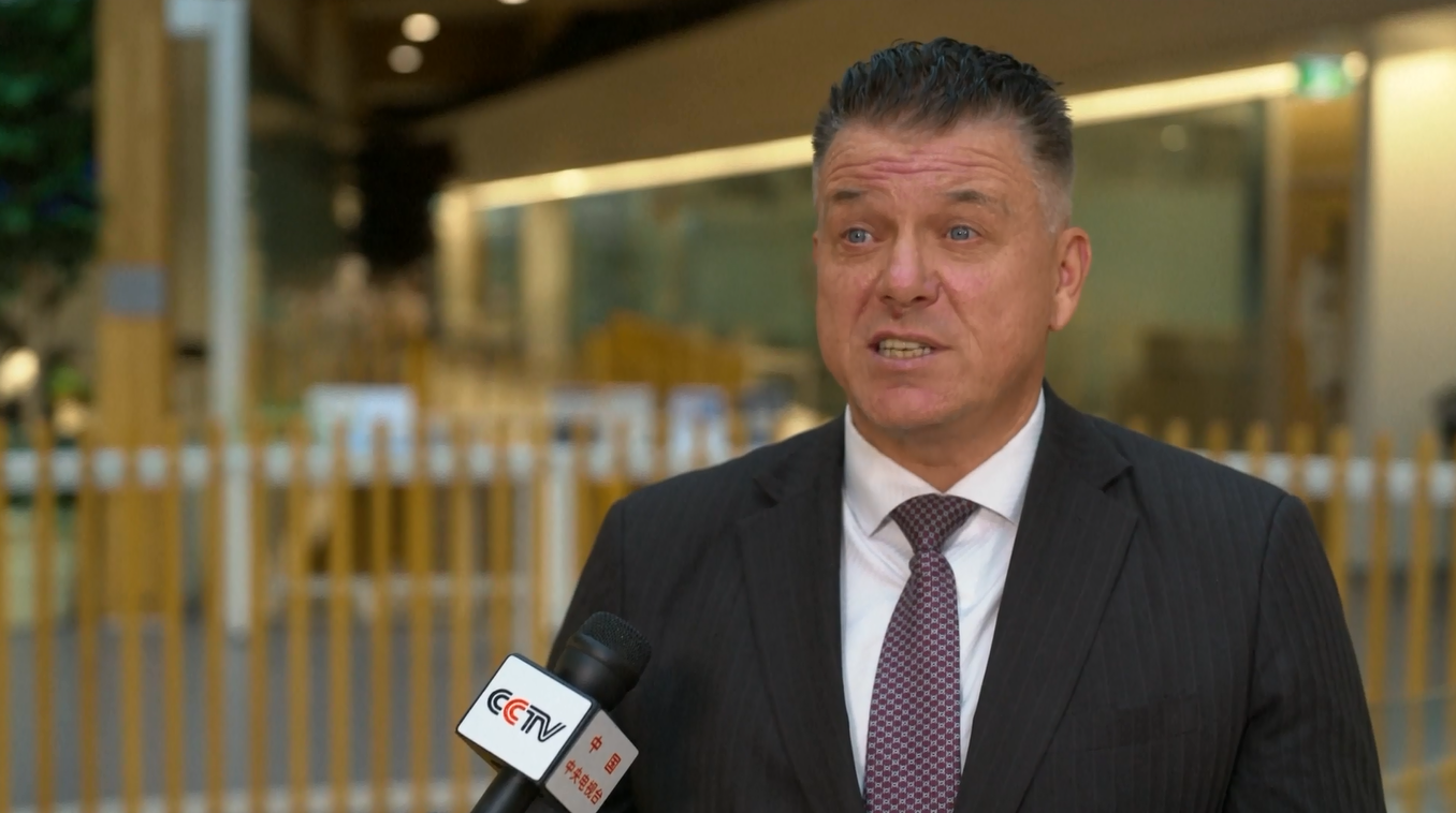 Para Pengamat: CIIE Menyediakan Platform untuk Kerja Sama Global