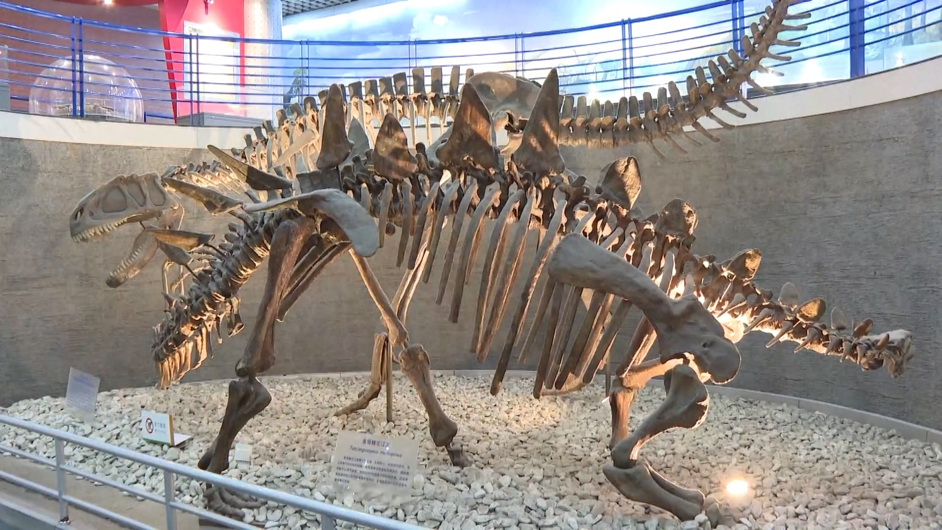 Pameran ini menyediakan eksplorasi mendalam tentang asal-usul