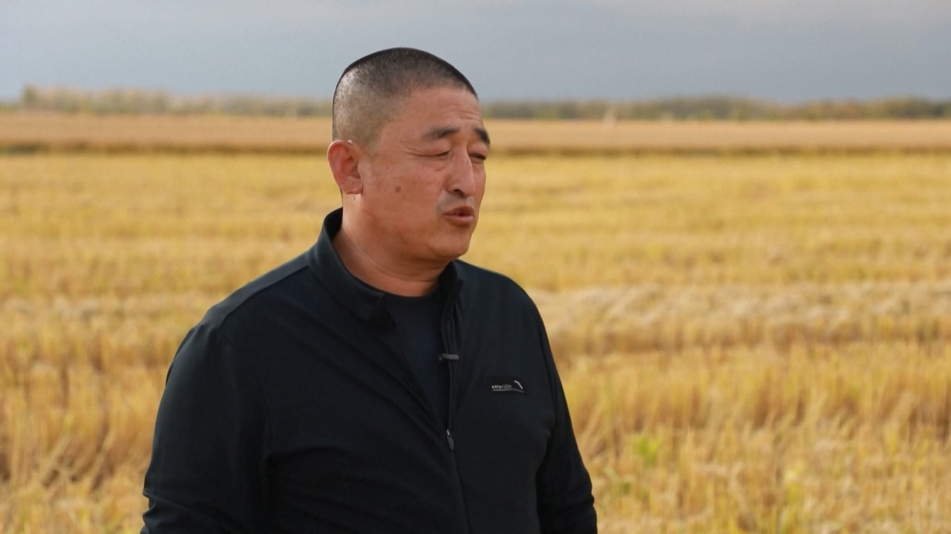 Di Kota Hegang