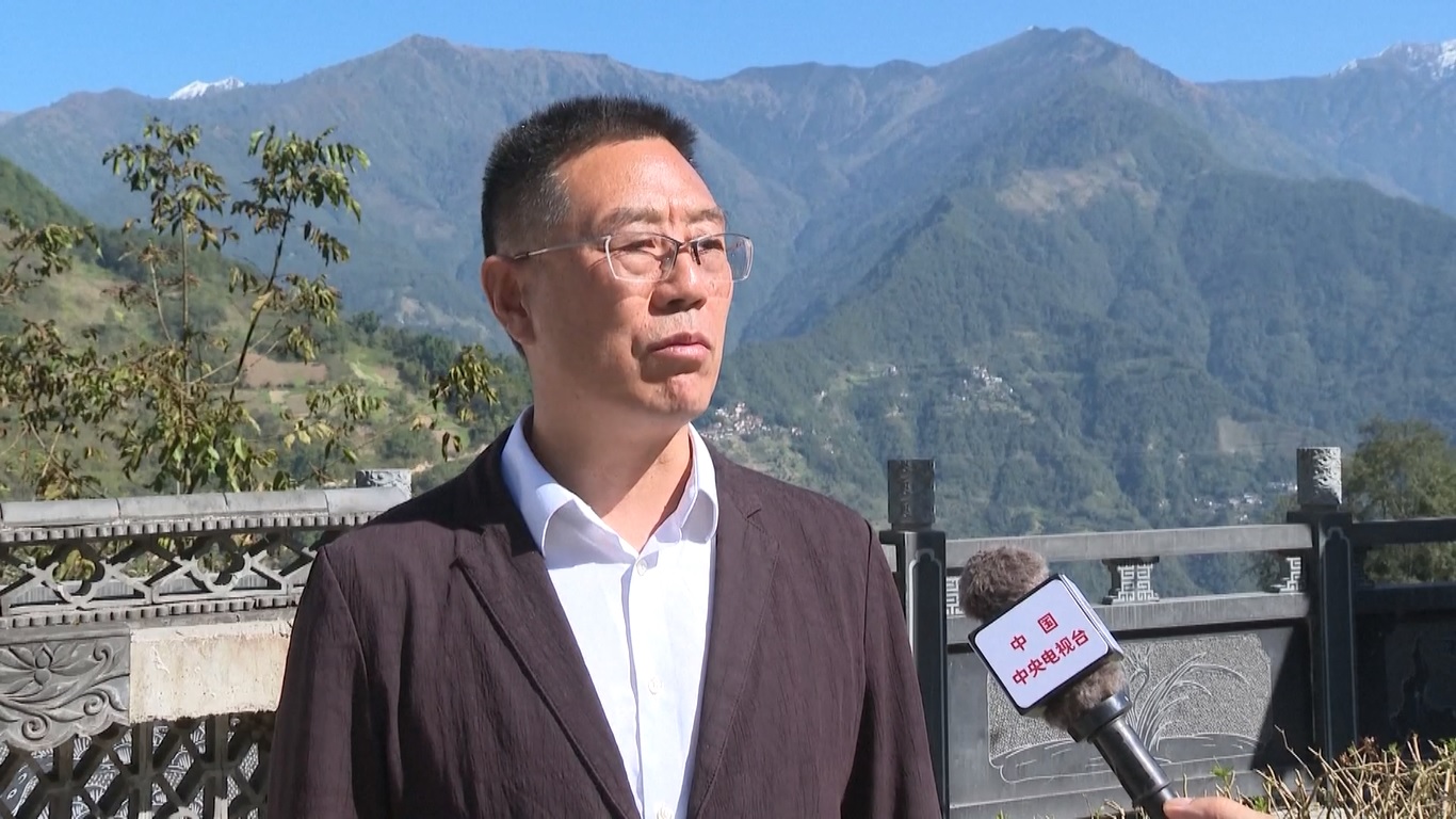 Ekonomi dataran rendah mengacu pada spektrum kegiatan ekonomi yang terjadi hingga 1000 meter di atas permukaan tanah