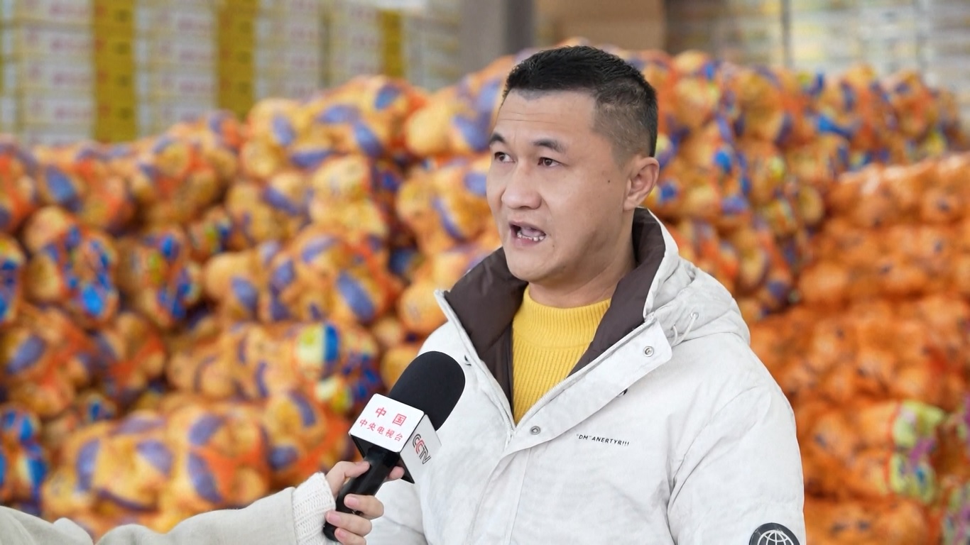 Statistik menunjukkan bahwa sejak awal tahun 2025