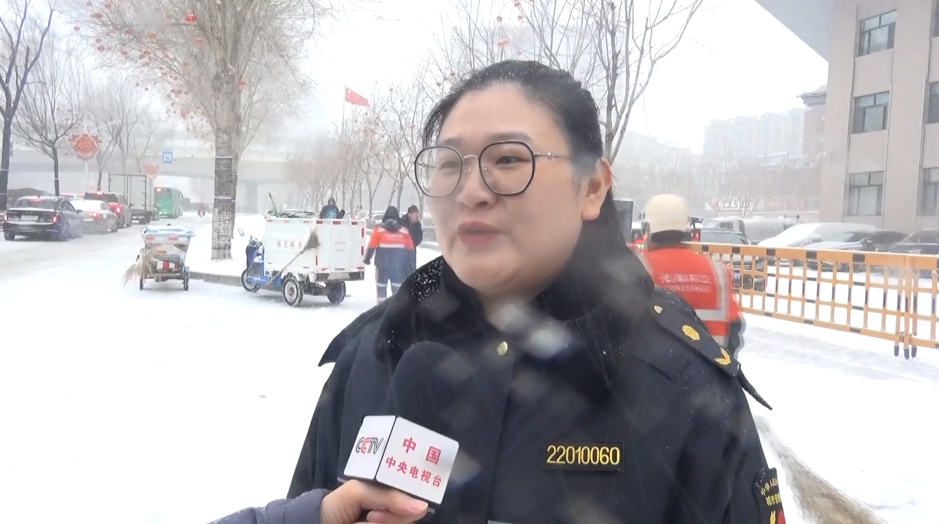 Wilayah Utara Tiongkok Dimobilisasi untuk Memastikan Keamanan di tengah Hujan Salju