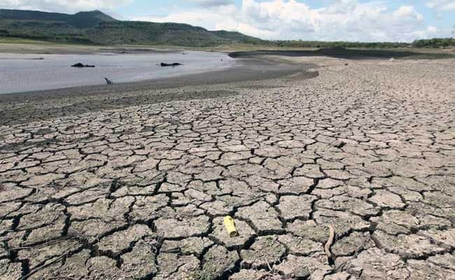 Para ilmuwan di National Oceanic and Atmospheric Administration (NOAA) mengumumkan secara resmi pada Kamis (8/6) yang lalu El Niño akan terjadi dan diperkirakan dapat berlangsung hingga 2024 