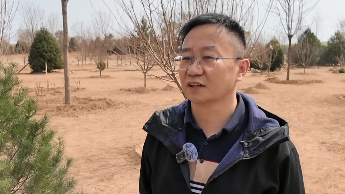 Warga Beijing Terinspirasi oleh Xi Jinping dalam Acara Penanaman Pohon