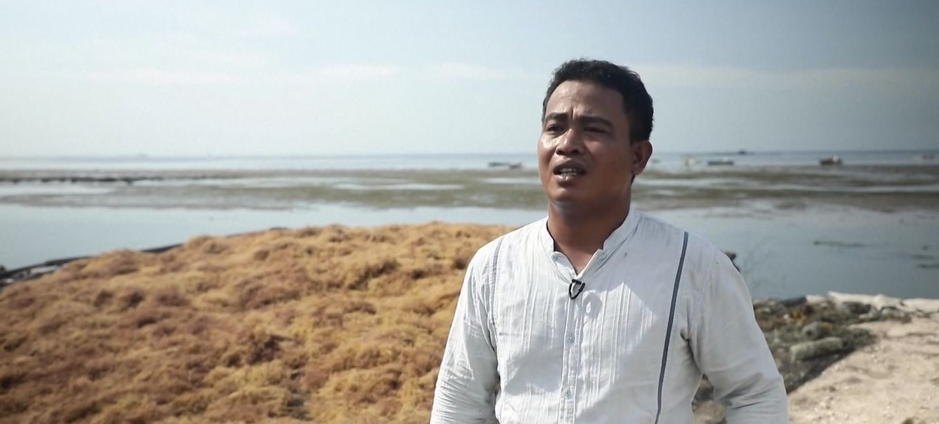 Tiongkok Dorong Permintaan Perdagangan Rumput Laut Indonesia dan Tingkatkan Pendapatan Petani