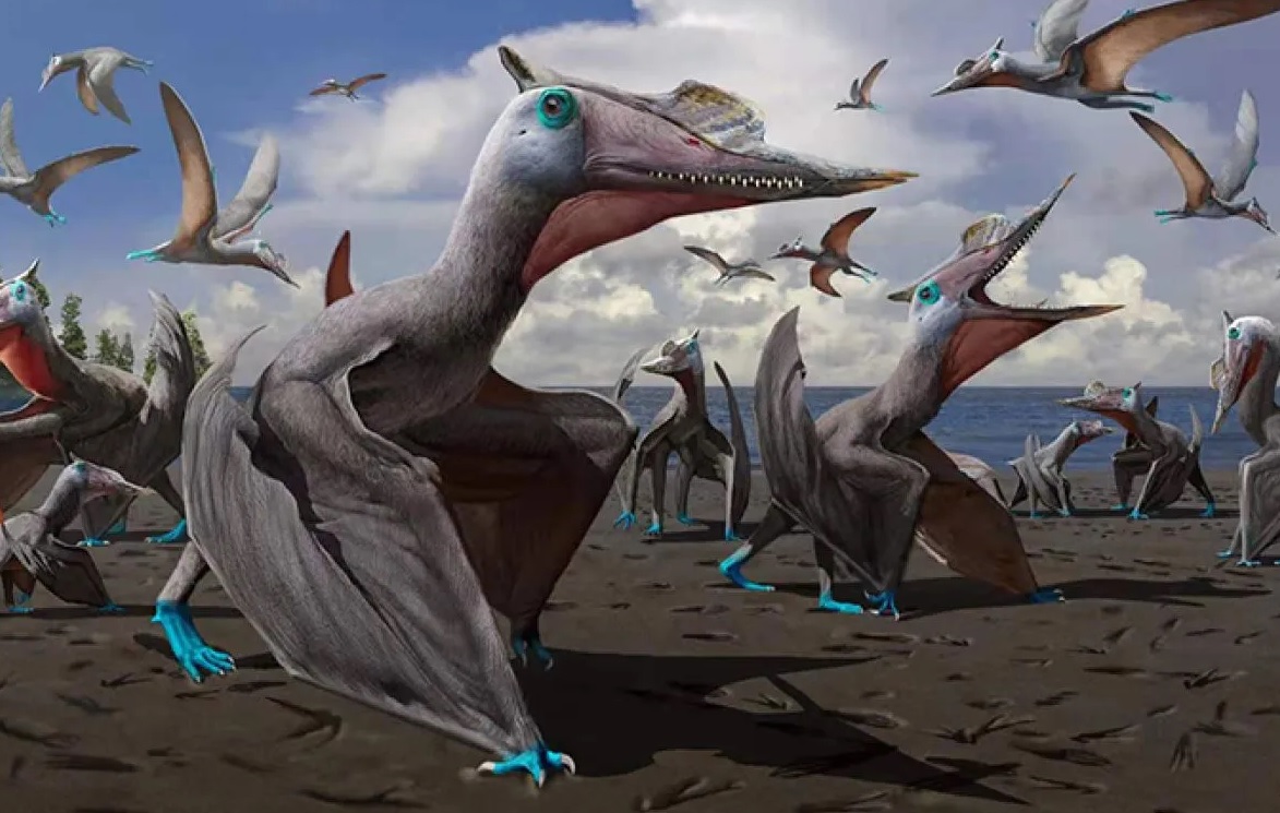 Museum Pterosaurus Pertama di Dunia Resmi Dibuka di Xinjiang