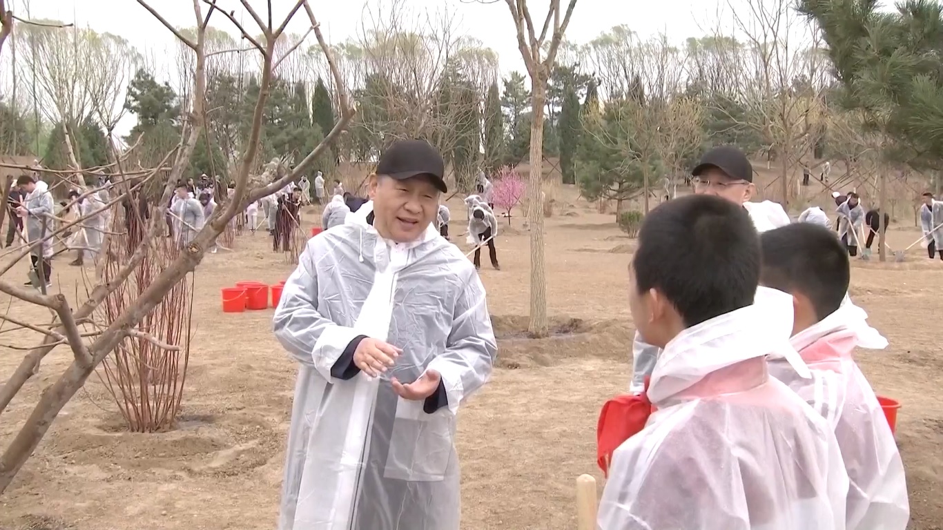 Ini adalah tahun ke-11 partisipasi Xi dalam kegiatan penanaman pohon tahunan di Beijing sebagai pemimpin tertinggi