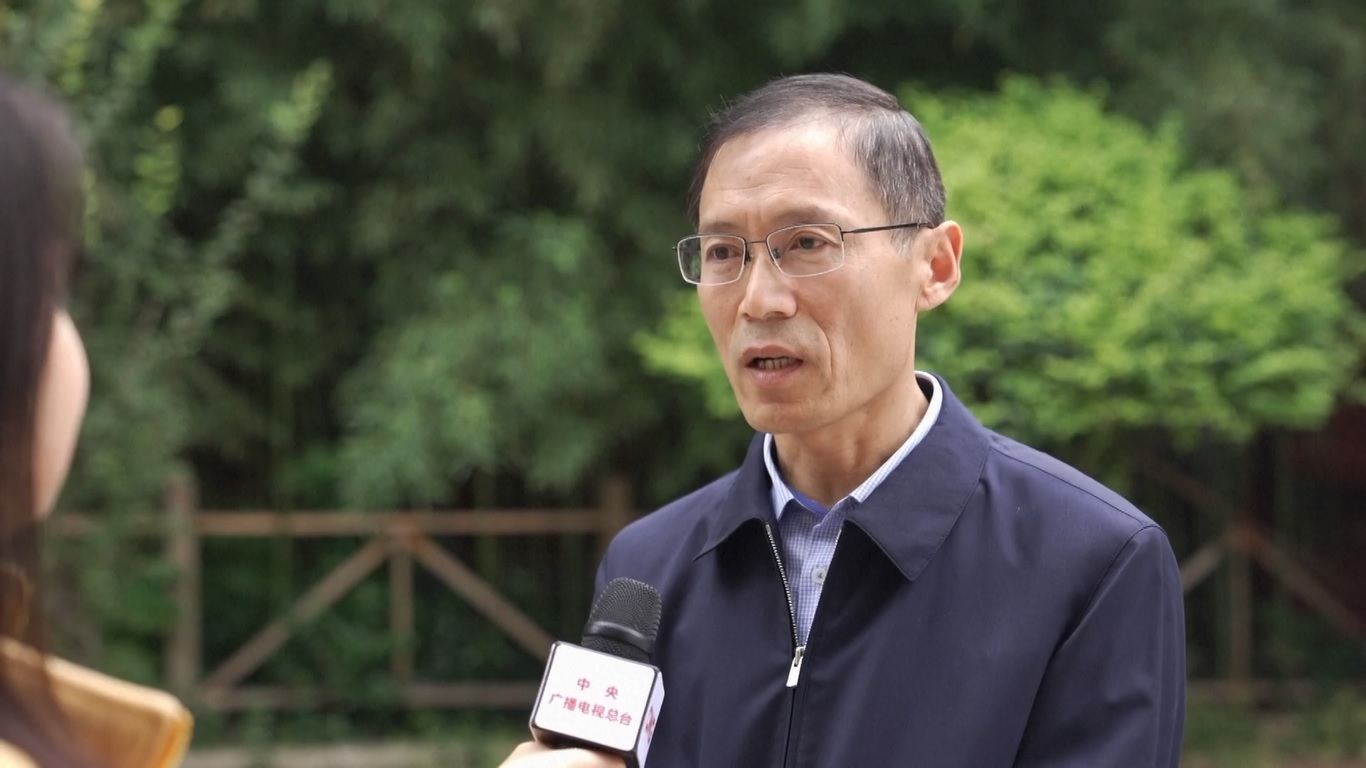 Selama dekade terakhir