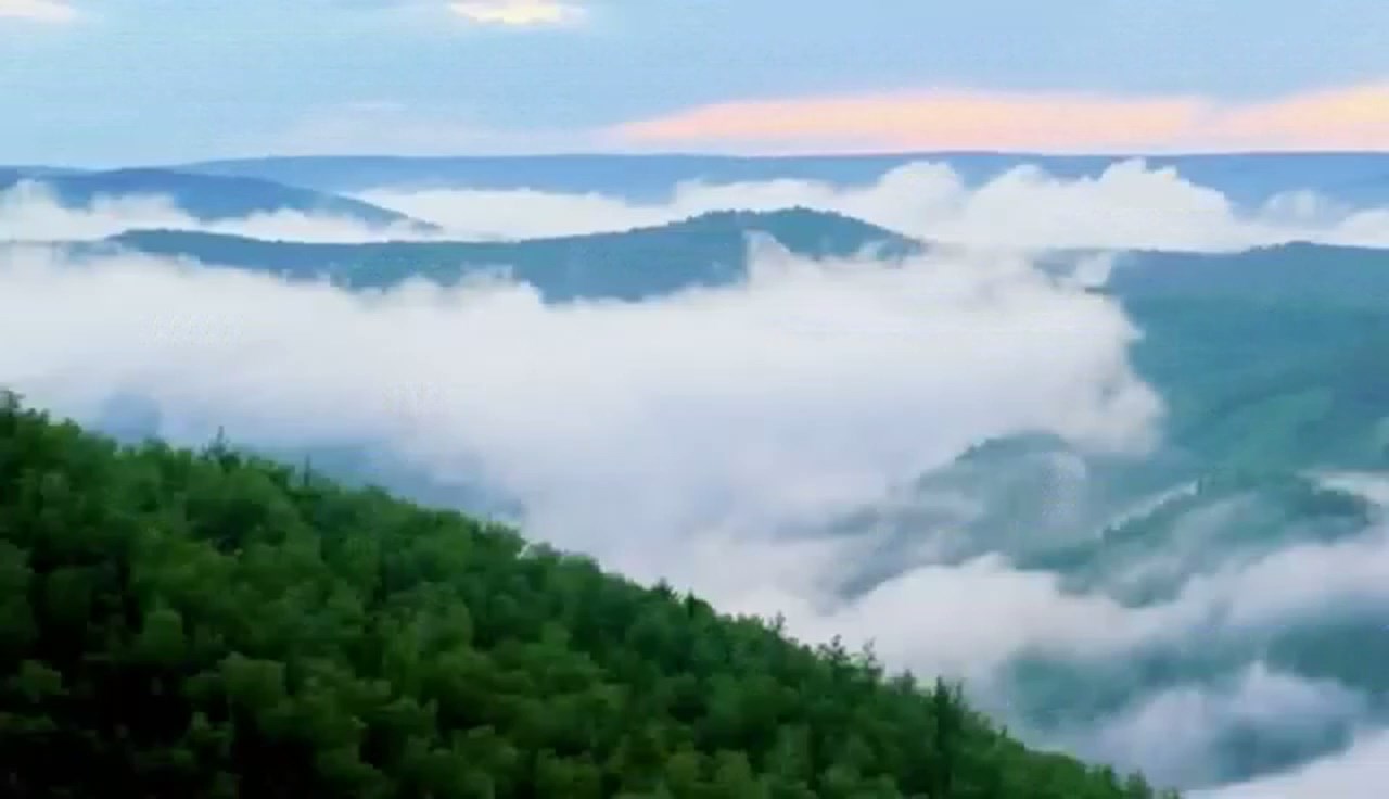 Tanggal 15 Agustus adalah Hari Ekologi Nasional Tiongkok