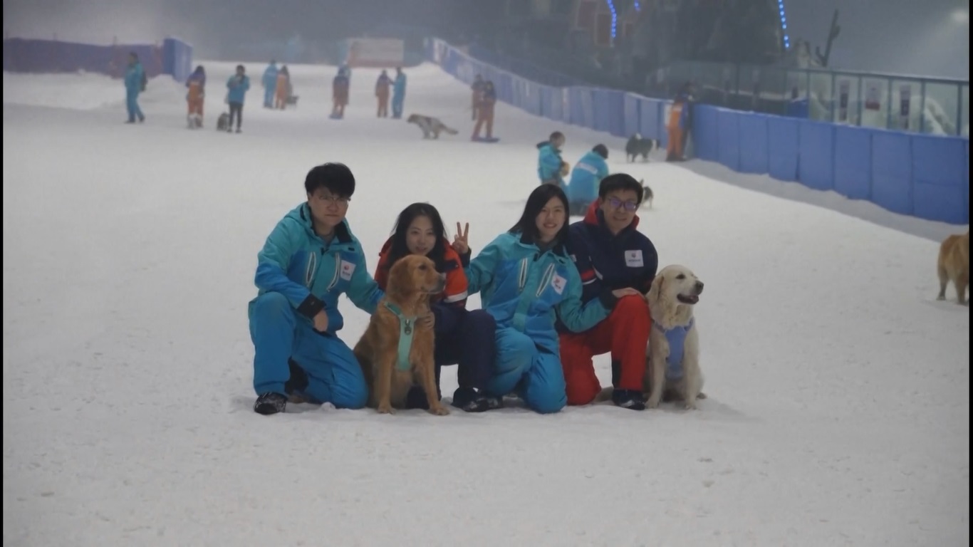 Universitas di Tiongkok Luncurkan Program Sarjana Pertama yang Berfokus pada Hewan Peliharaan seiring Berkembangnya Industri