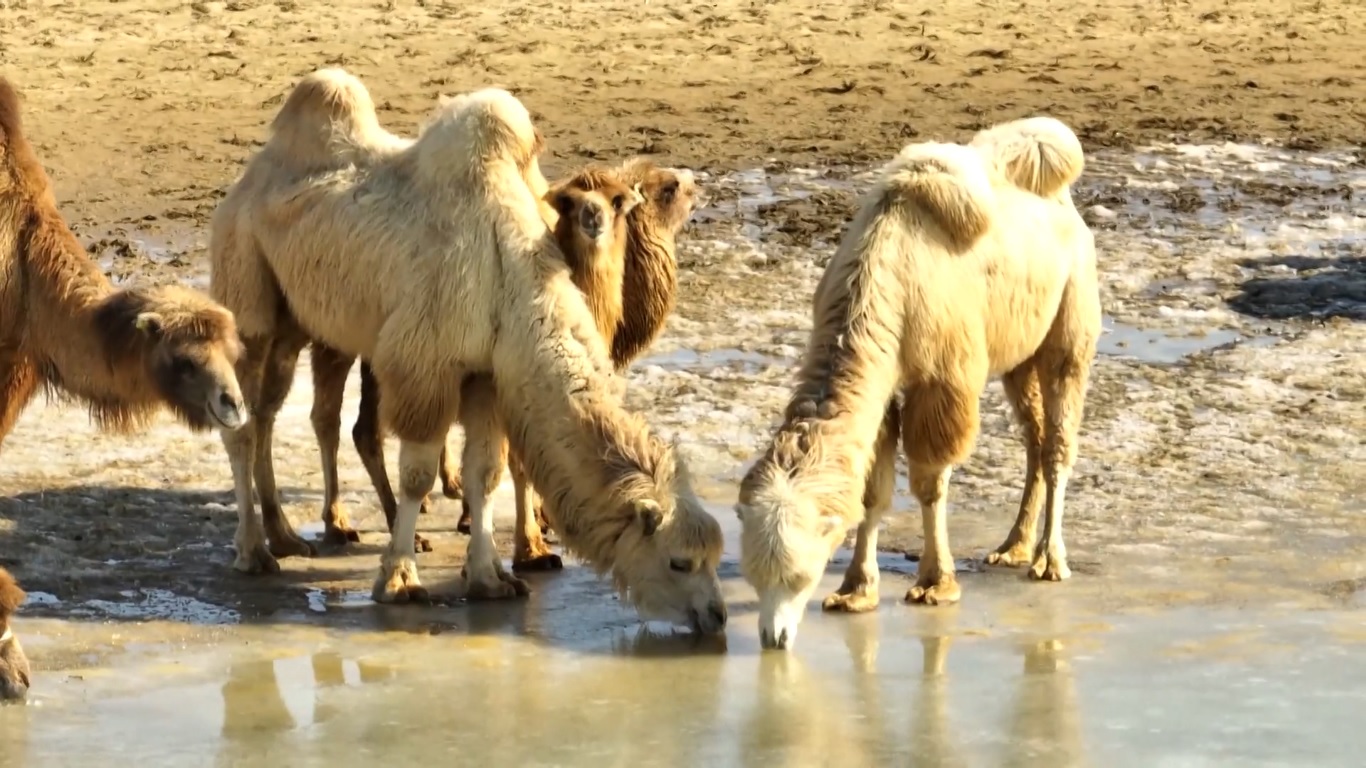 Teknologi yang dimaksud adalah kecerdasan buatan dan 5G