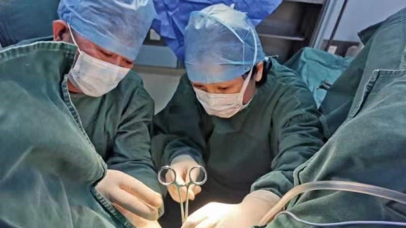 Longhua adalah rumah bagi operasi Gu yang berusia lebih dari 160 tahun sebuah warisan budaya takbenda yang menempati posisi terdepan dalam pengobatan TCM