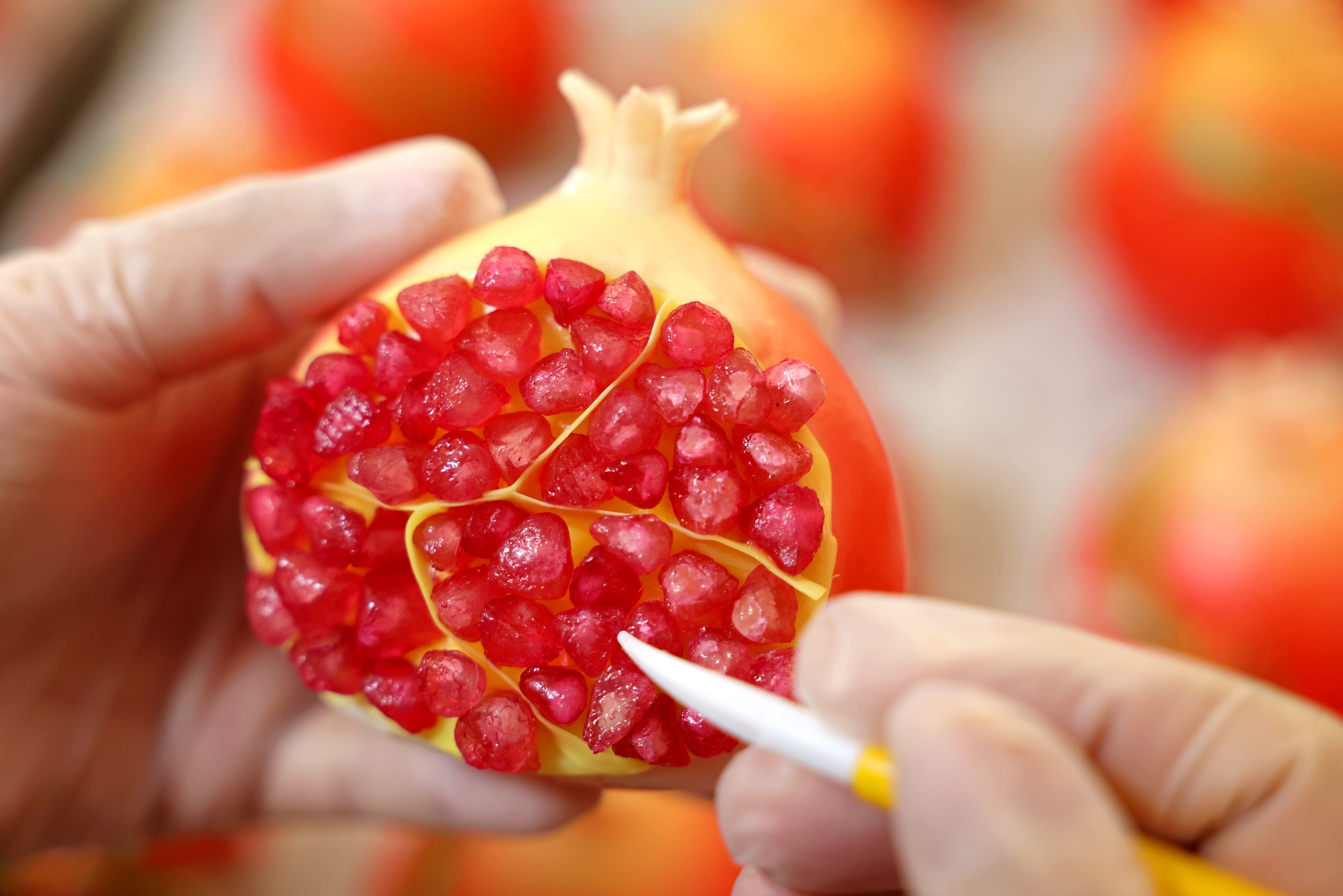 Zaozhuang telah lama dikenal sebagai Kampung Halaman Delima di Tiongkok sementara buah delima umumnya dianggap sebagai simbol keberuntungan dan buah yang membawa keberuntungan