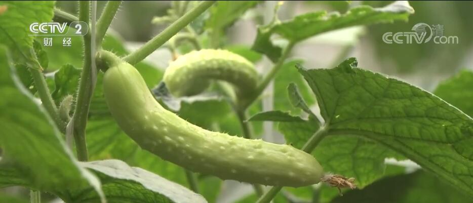 Dengan teknologi dan peralatan baru seperti manajemen dan kontrol