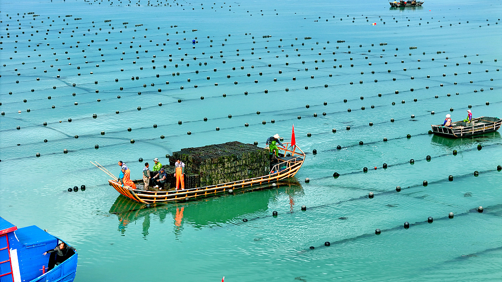 Membangun “lumbung maritim” tidak hanya mengurangi penangkapan ikan yang berlebihan
