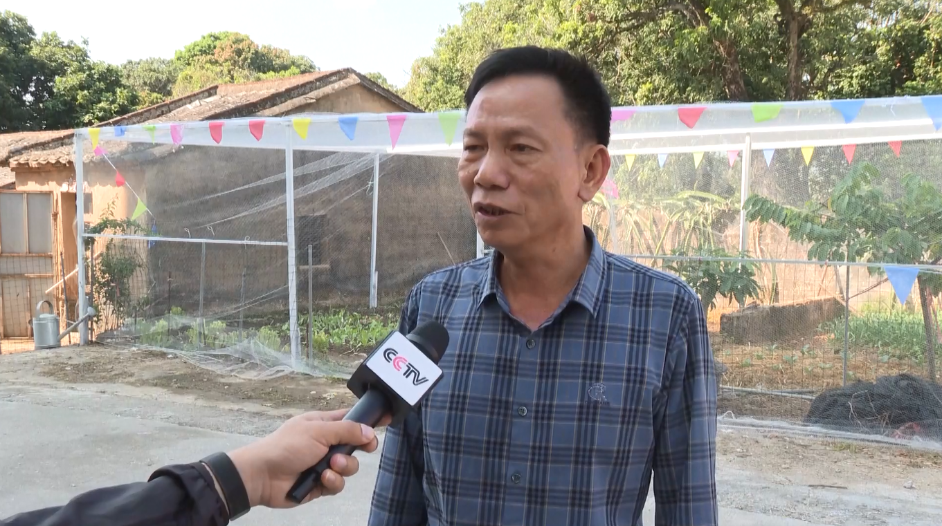 Guangdong Promosikan Penggunaan Jaring Ramah Burung untuk Lindungi Burung Migran dan Lahan Pertanian