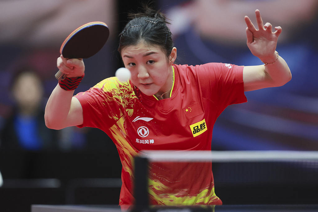 Para petenis meja  elit dunia