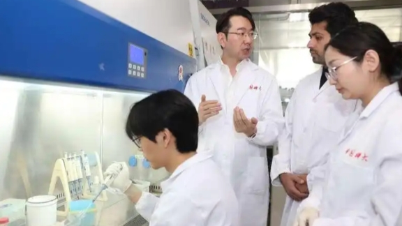 Para peneliti dari Universitas Sains dan Teknologi Tiongkok yang dipimpin oleh Sun Cheng telah mengembangkan sistem penilaian yang dapat mengukur pola distribusi spasial sel imun dalam lingkungan mikro tumor untuk menilai kemungkinan kambuh