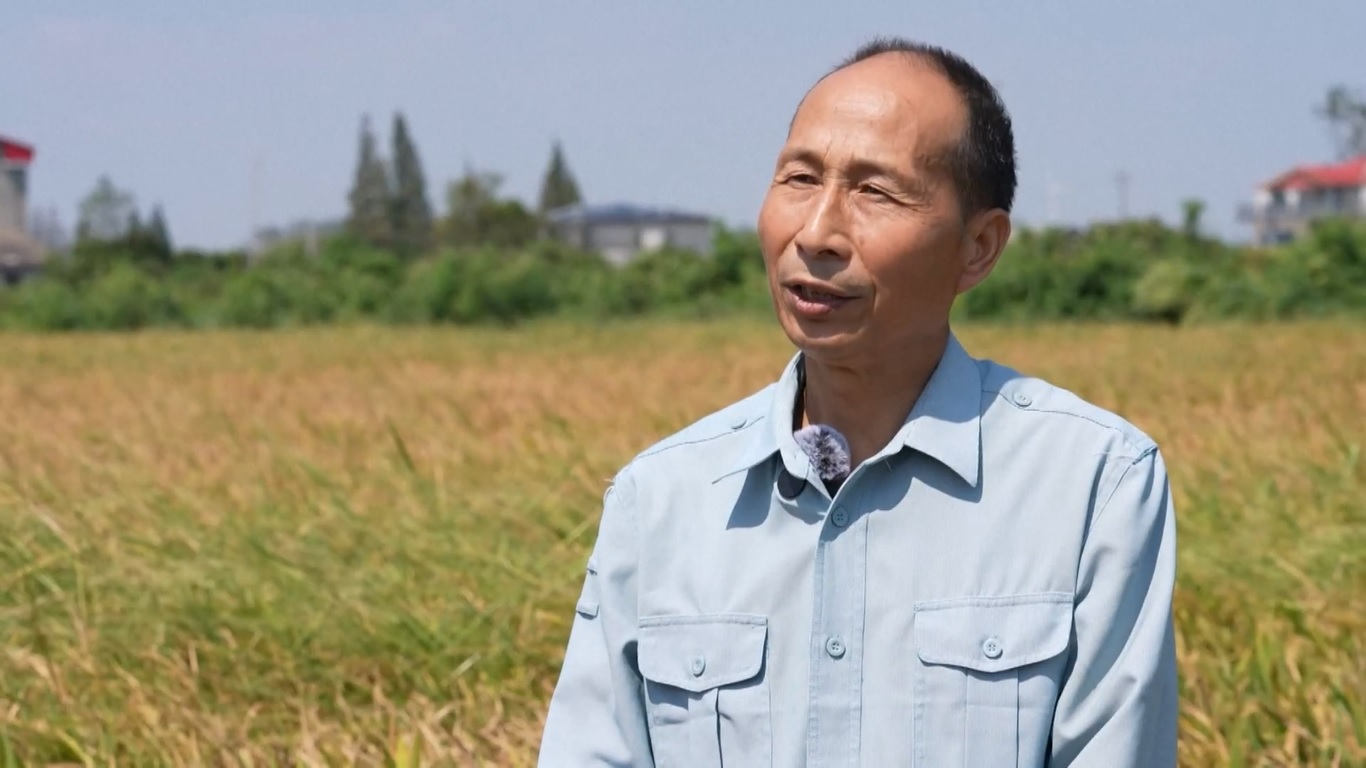 Selama musim gugur keemasan saat ini