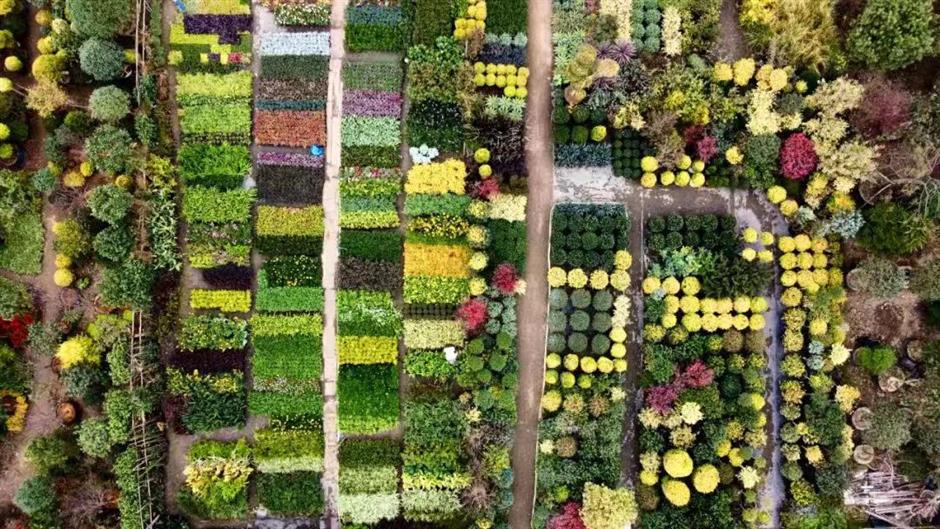 Sebuah festival bunga dan pariwisata telah dibuka di Kota Huaxin