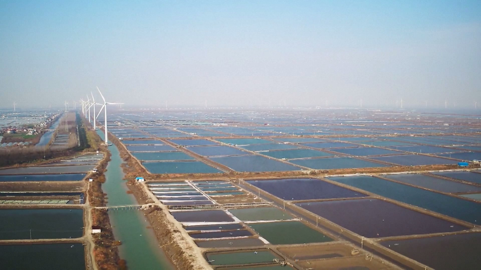 Provinsi-provinsi pesisir Tiongkok berinvestasi besar-besaran pada pembenihan biota laut lepas pantai dalam upaya meningkatkan keanekaragaman hayati laut dan memulihkan ekosistem lokal