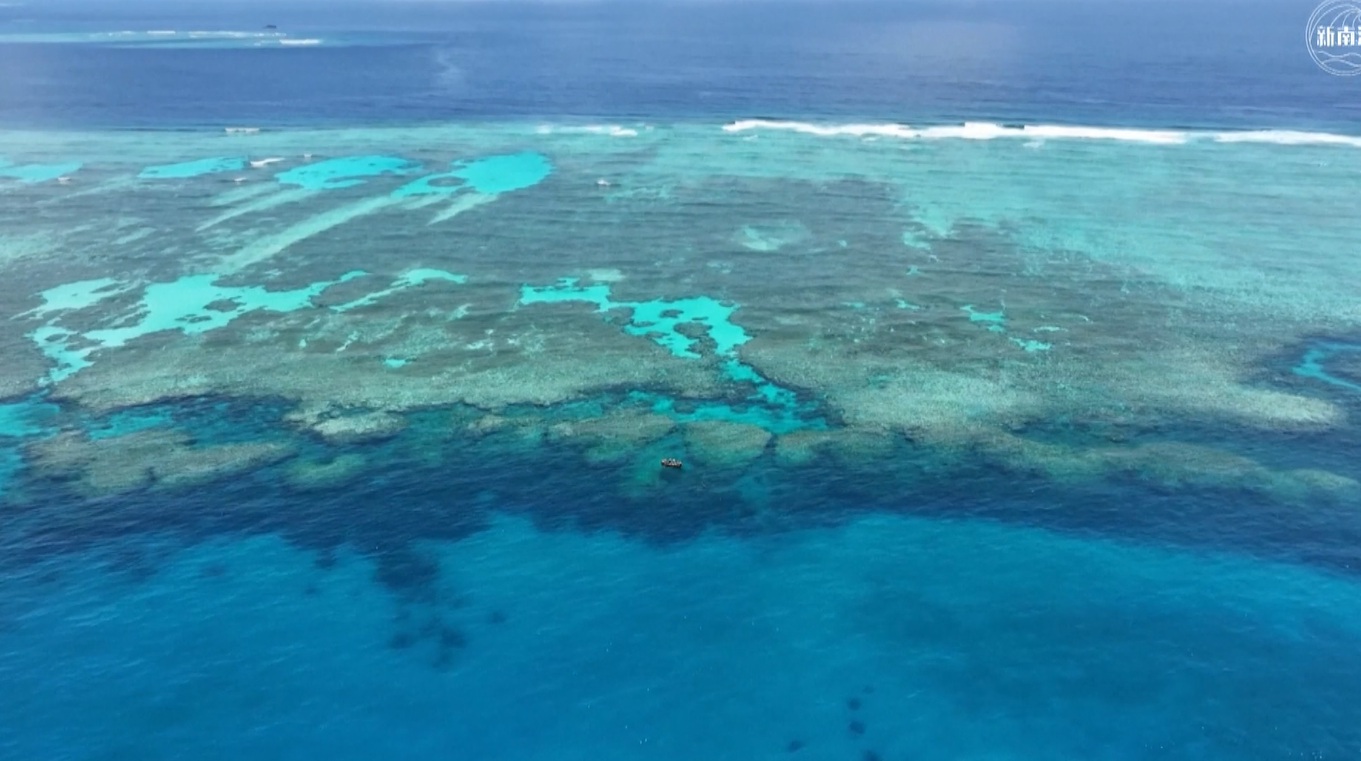 Penilaian Ekologis Menunjukkan Pulau dan Terumbu Karang di Laut Tiongkok Selatan dalam Kondisi Baik