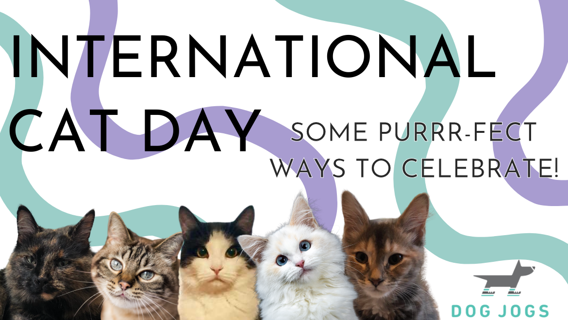 Melansir daysoftheyear