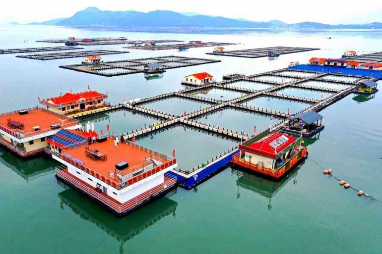 Kini sumber utama pangan Tiongkok tidak hanya bergantung pada produk tani dan ternak tradisional