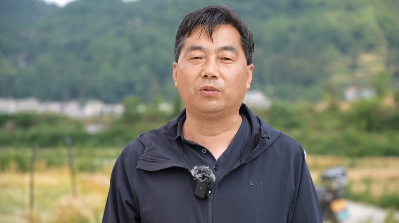 Pertanian Berteknologi Tinggi Tingkatkan Hasil Panen Musim Panas di Guizhou