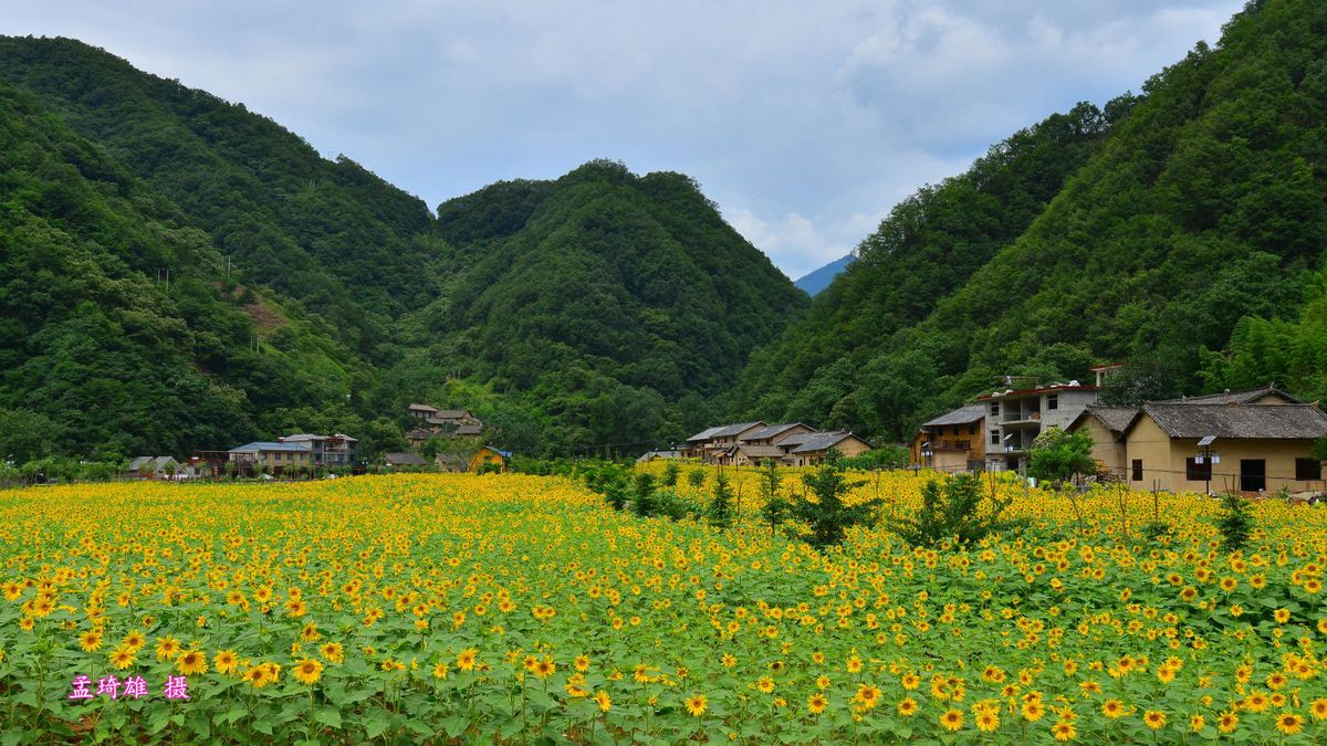 Desa ini telah mendirikan 216 homestay pedesaan dan 46 wisma