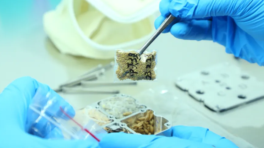 Para ilmuwan akan melakukan analisis biologis