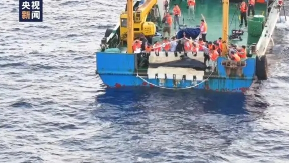 Paus pilot bersirip pendek dilepaskan kembali ke laut di provinsi pulau Hainan