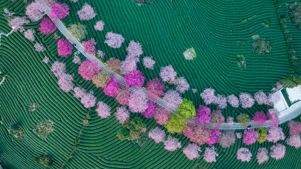 Ke depan Tiongkok akan dengan baik mengadakan pengontrolan terhadap personel yang berisiko dan meningkatkan pemantauan wabah