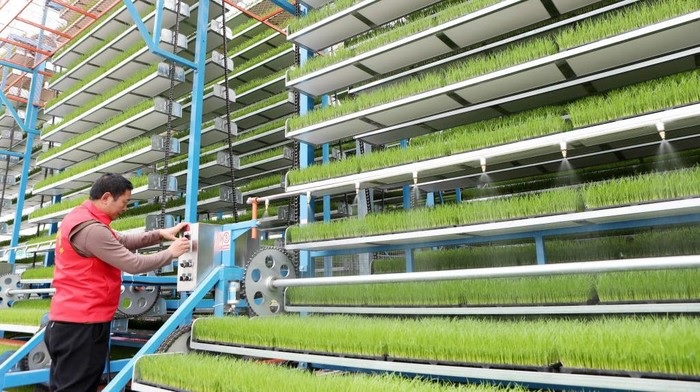 Teknologi Pintar Meningkatkan Penanaman Padi dan Jagung di Musim Semi di Seluruh Tiongkok