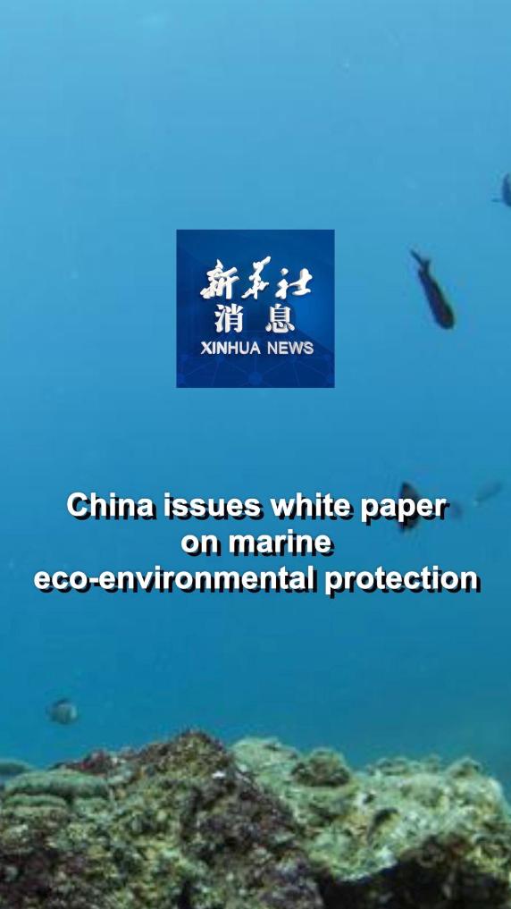 Dalam panduan tersebut dituliskan