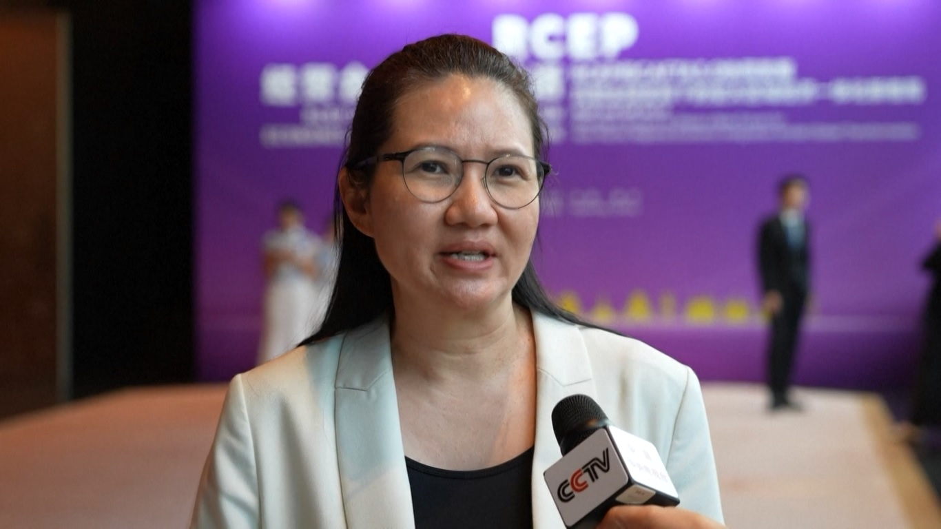 Expo Tiongkok-ASEAN Serukan Kerja Sama Regional di Bidang Industri dan Rantai Pasokan