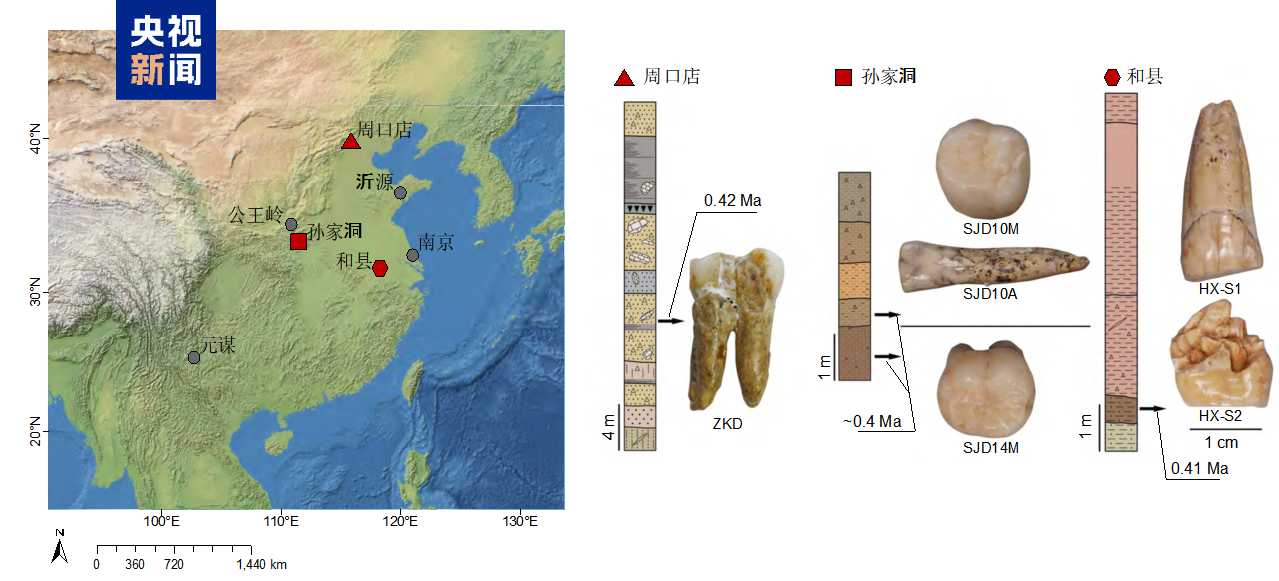 Ilmuwan Tiongkok Berhasil Memperoleh Data Molekuler Pertama dari Homo erectus