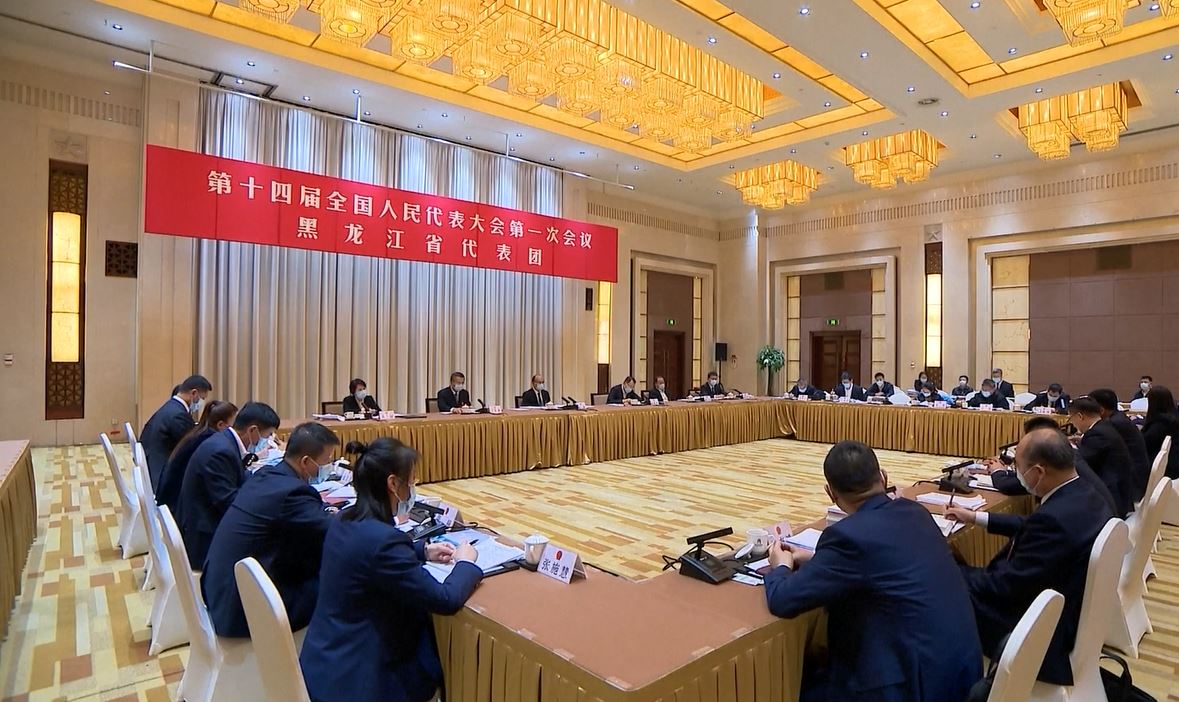 Para deputi NPC berbagi wawasan dan visi untuk membangun Tiongkok yang sehat