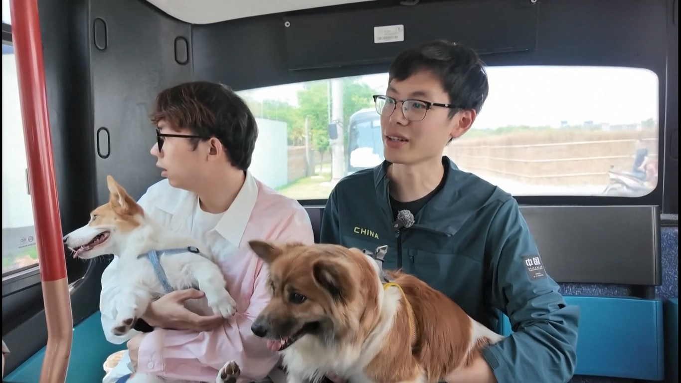 Itu muncul seiring dengan pesatnya pertumbuhan ekonomi hewan peliharaan