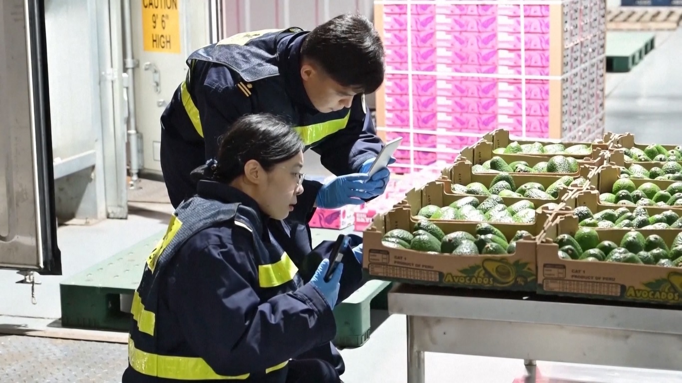 Diresmikan pada 18 Desember tahun lalu