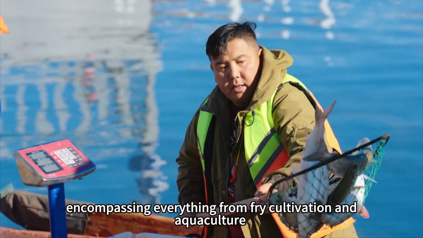 Penggembala Xinjiang Budidayakan Ikan Peled di Danau Sayram, Merintis Akuakultur Pegunungan