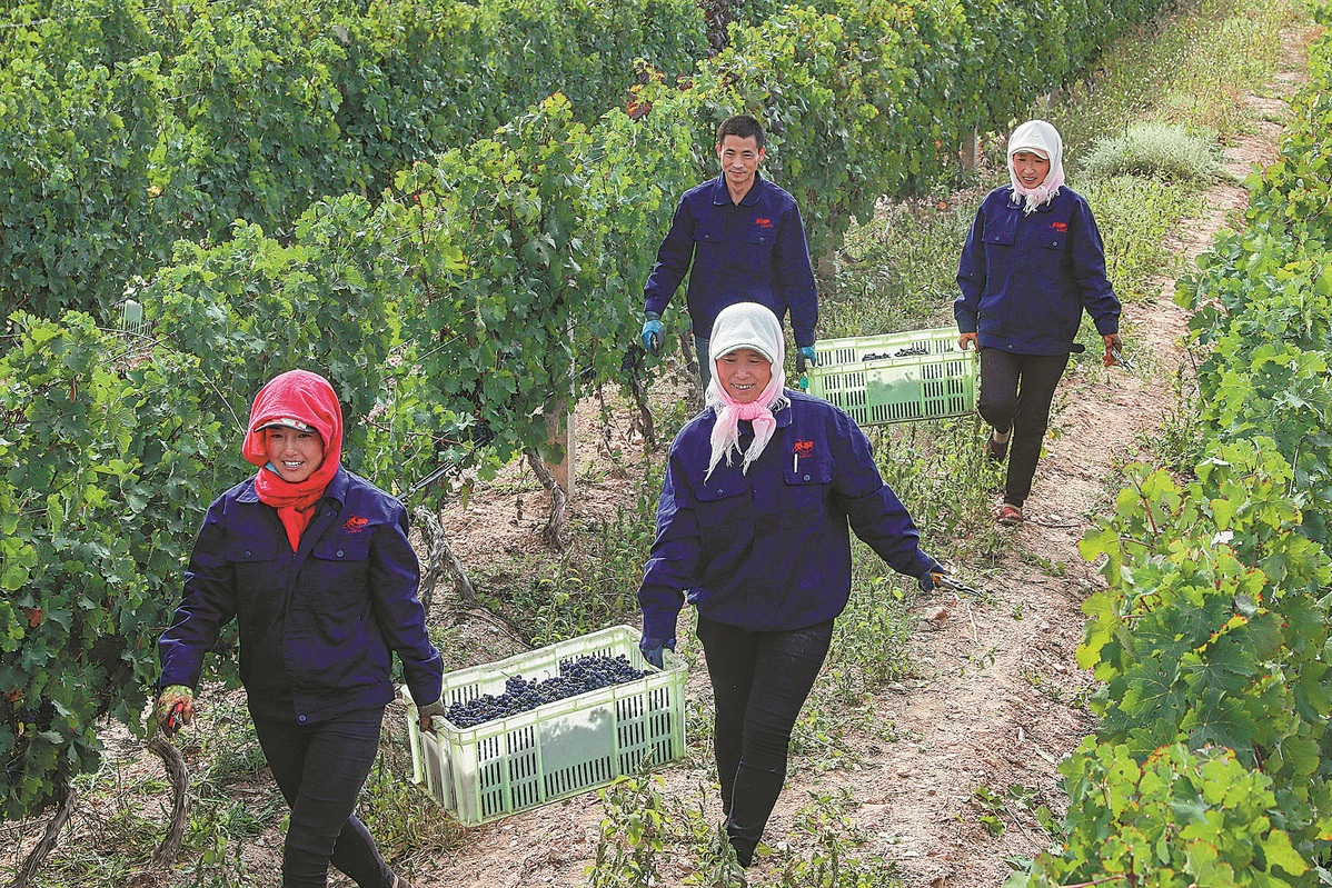 Cabai adalah jiwa dari masakan lokal di provinsi Guizhou