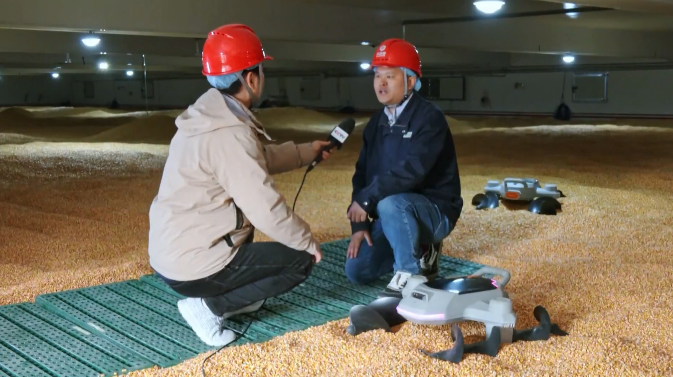 Robot Perata Biji-bijian Membebaskan Pekerja dari Tugas-tugas Berat di Gudang Penyimpanan Biji-bijian di Chengdu