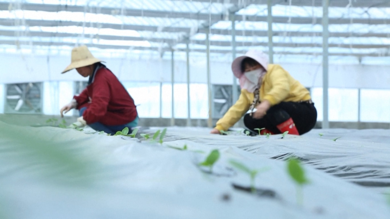 Teknologi itu mendorong efisiensi penanaman dan perolehan hasil yang lebih tinggi karena penaburan musim semi sedang berjalan lancar