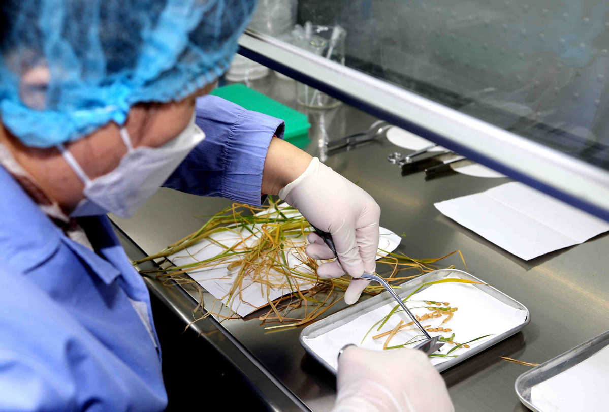 Astronot Tiongkok untuk pesawat ruang angkasa Shenzhou XIV telah kembali ke bumi