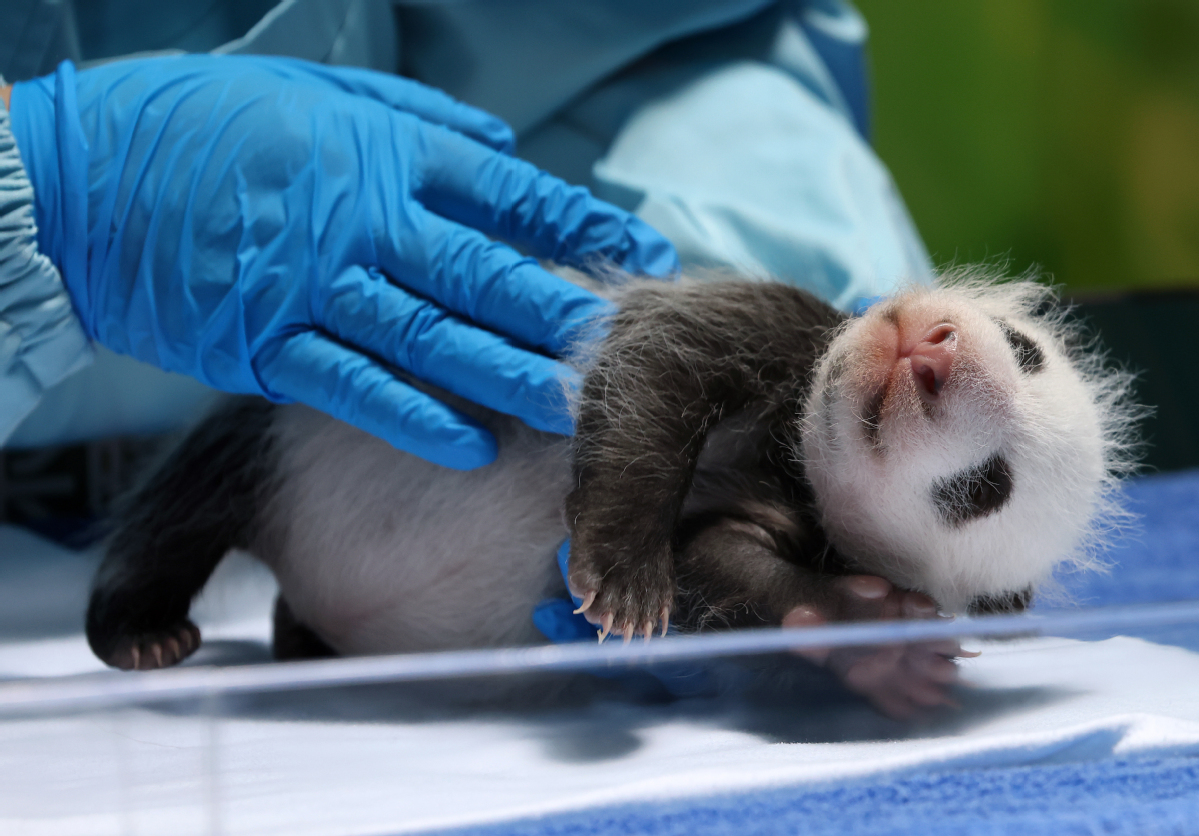 Menurut tim konservasi taman nasional