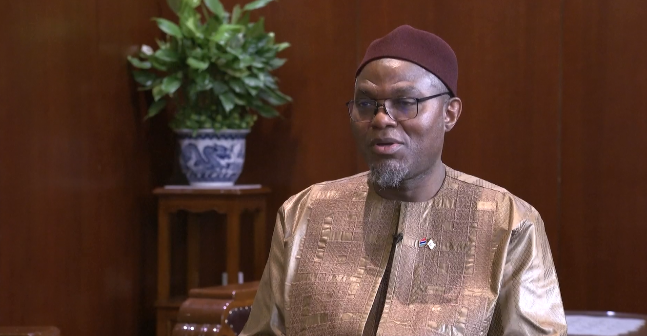 Wakil Presiden Gambia Serukan Upaya Global untuk Lindungi Pembangunan sebagai Hak Asasi Manusia